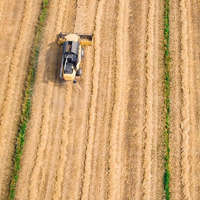 Agriculture, Small Provincial Businesses