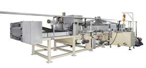 Fryer Machine